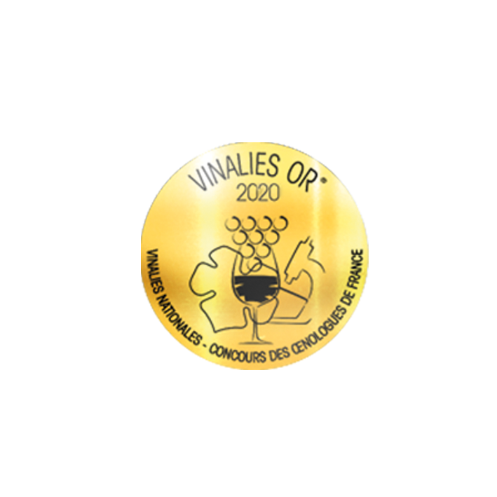 Logo Vinalies Nationales